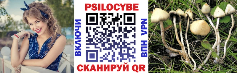 Галлюциногенные грибы Psilocybine cubensis  блэк спрут ТОР  Шарья 